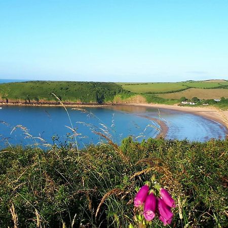 A Beach Holiday In Pembrokeshire Екстер'єр фото